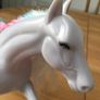 Horse Image 8