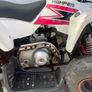 Highper 110cc kids quad Image 3