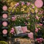 Rose Arch with Bench, Heavy-Duty Metal 2-Seater Decorative Garden Bench Trellis  Anthracite Grey Image 4