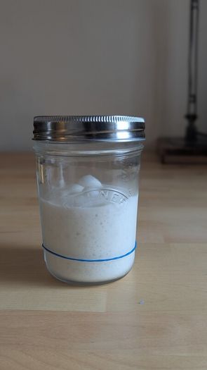 Sourdough starter