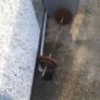 weight bench Image 3