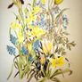Limited edition botanical print by Jenny Jowett Image 5