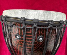 Remo Paulo Mattioli signature djembe, rope tuned