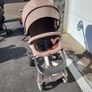 buggy Image 3