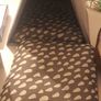 cat/ kitten beds or small puppy /dog Image 2