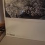The Swell Season (glen hansard) Strictly joy 2 vinyl Image 2