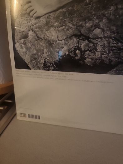 The Swell Season (glen hansard) Strictly joy 2 vinyl