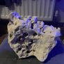 aquarium rocks Image 6