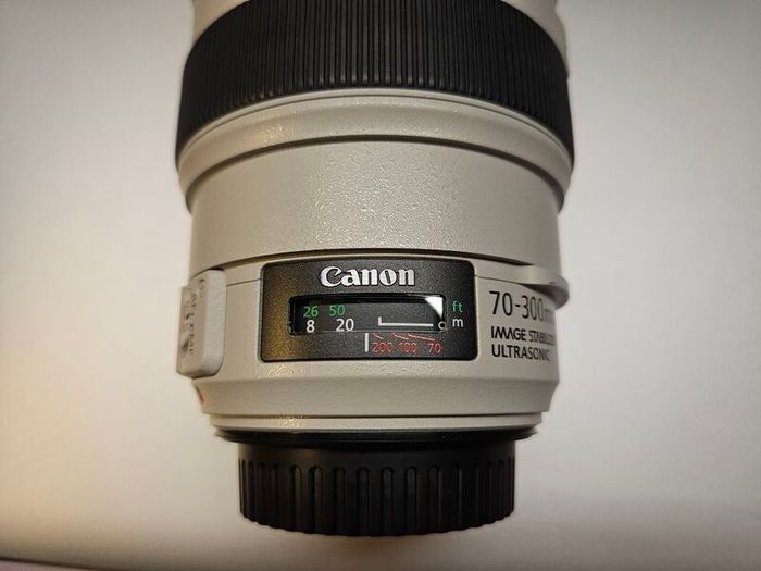 Canon Ef 70-300mm F/4-5.6 L Is Usm