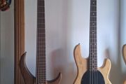 Peavey cirrus 5 walnut
