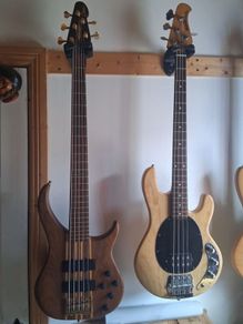 Peavey cirrus 5 walnut