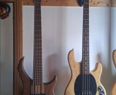 Peavey cirrus 5 walnut