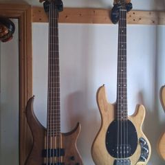 Peavey cirrus 5 walnut