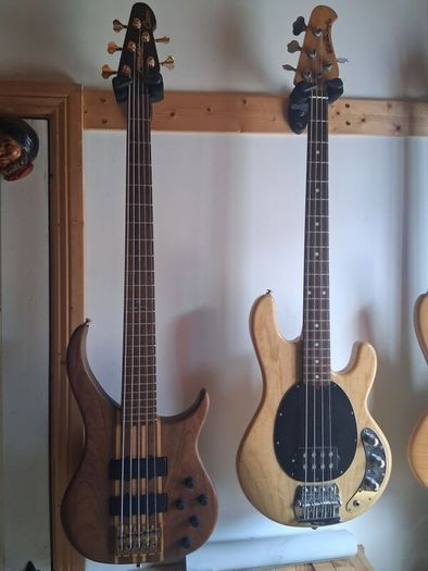 Peavey cirrus 5 walnut