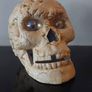 Skull /Gothic home  decor Image 6