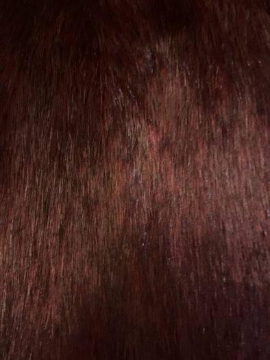 Wine Faux fur Antoni & Alison size 14