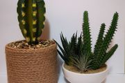 Artificial Plants