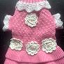 New dog Dress Image 5
