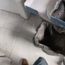 Safetix Scorpius Steel Toe Cap Image 2
