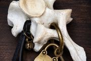 The Worry Bone Fidget for Restless Hands