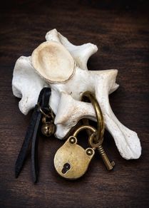 The Worry Bone Fidget for Restless Hands