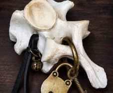 The Worry Bone Fidget for Restless Hands