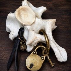 The Worry Bone Fidget for Restless Hands