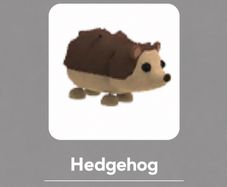 Roblox Adopt Me Pet - Hedgehog