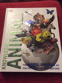 Knowledge Encyclopedia Animal