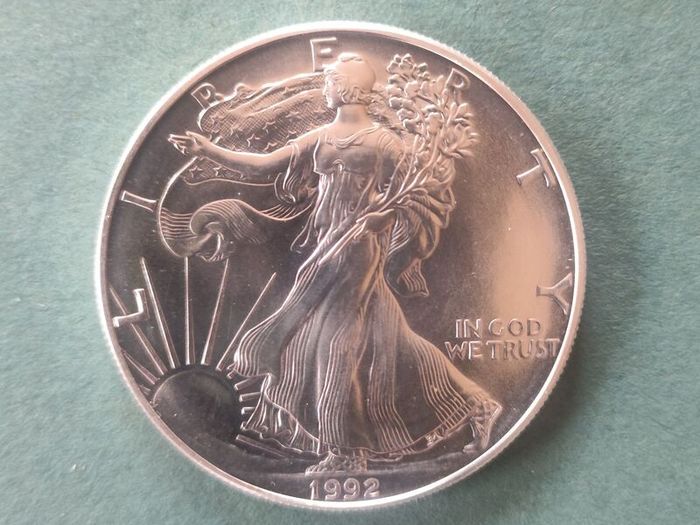 10x 1oz Silver American Eagle Coin