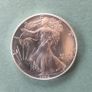 10x 1oz Silver American Eagle Coin Image 8
