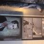 30 days of night graphic novel vol 1 Image 7
