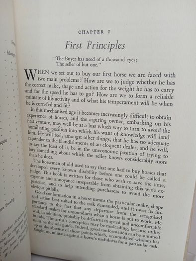 An Eye for a Horse: A Guide to Buying and Judging by Sidney G. Goldschmidt (PT257)