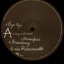 Sebastien Tellier - Politics LP Image 3