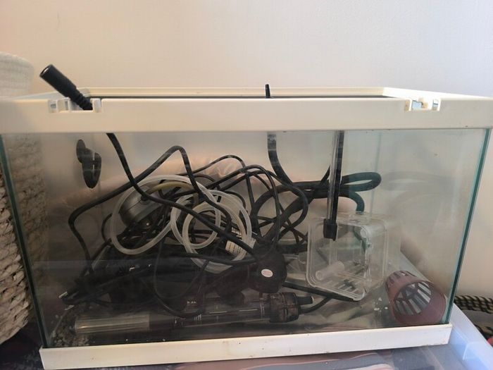 20L fish tank and all accessories included
