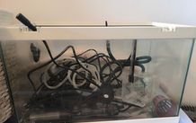 20L fish tank and all accessories included