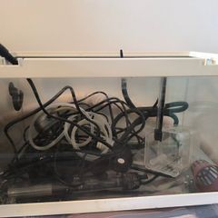 20L fish tank and all accessories included