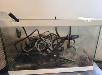 20L fish tank and all accessories included
