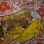 Summer Handbag Suri Frey Image 5