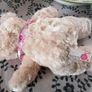 Keel Toys Teddy Bear Image 2