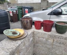 plant pots