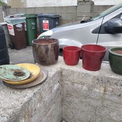 plant pots