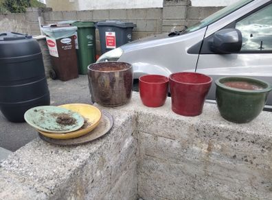 plant pots