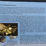 Viking Norway Euro Probe Essai coins set 2004 euro Prototype Specimen | Viking long boat Image 4
