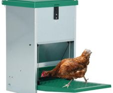 Feedomatic Automatic Poultry Feeder with Treadle 8 kg