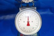 Stainless Steel Kitchen Scales