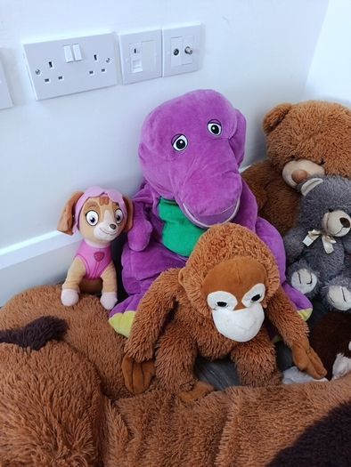 Plush toys