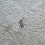 Ralph Lauren Men's Long Sleeve Rugby Shirt Size 3xl xxxl Image 3