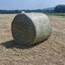 Hay Image 2
