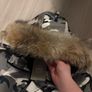 Canada goose jacket Image 4